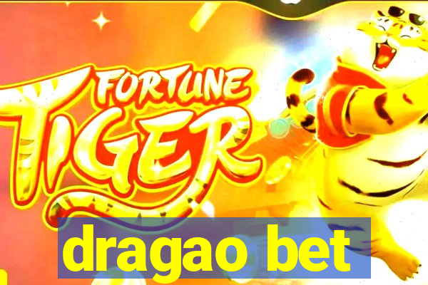 dragao bet